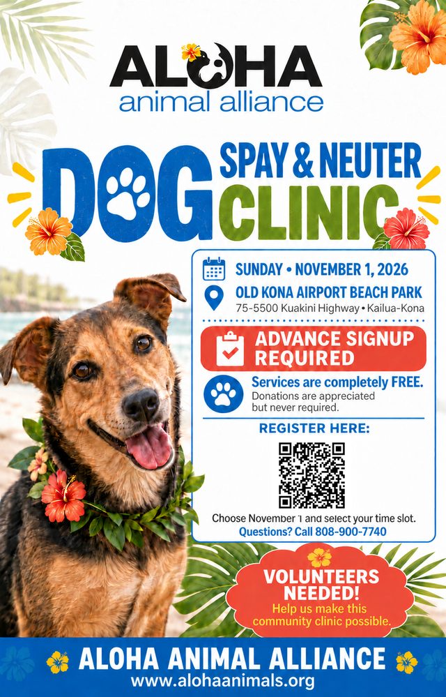 Flyer for the free Aloha Animal Alliance Dog Spay and Neuter Clinic on Sunday, November 1, 2026 at Old Kona Airport Beach Park, with a registration QR code