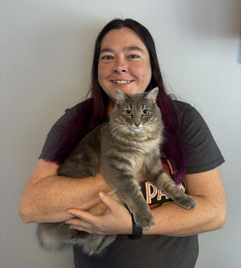 Dr. Kelly Foster smiling against a white wall, holding a fluffy grey tabby cat in her arms